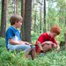 5 osvědčených rad, aby děti hledání hub bavilo