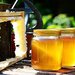 Objevte pozitivn inky medu na v organismus