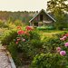5 tipů, jak na jaře probudit zahradu: Od úklidu až k zahraním dekoracím