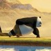 Panda jako iv pijede do Prahy