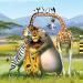 Film Madagaskar 2 - tk do Afriky