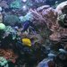 Tip na podzimní výlet - ZOO Olomouc