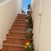 Stedomosk flora a moje schody do nebe