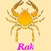 Rak - horoskop na rok 2009