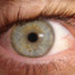 Vědomostní test - Oko a náš zrak