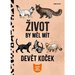 ivot by ml mt devt koek