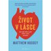 ivot v lsce