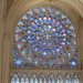 Znovuzrozen Notre-Dame na Prima ZOOM