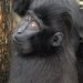 Zoo Dn vyzv: Slote v souti bsniku pro primty