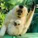 V olomouck ZOO probhl ktinov maraton