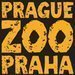 Komentovan krmen a netradin Silvestr v zoo Praha