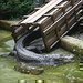 Stěhování aligátora Libora v ústecké ZOO