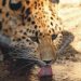 Vherci soute o vstupenky do ZOO st nad Labem