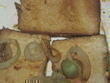 fotka Uzen tofu s cibul