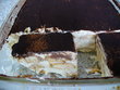 fotka Lehouk tiramisu