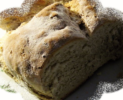 FOTKA - Obyejn itn chleba