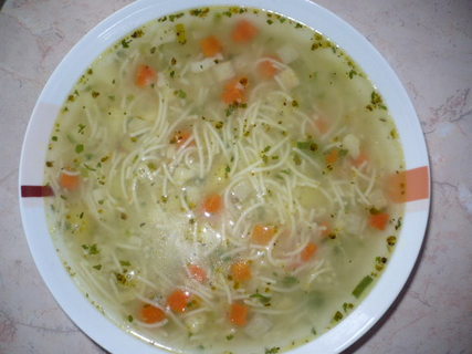 FOTKA - Zeleninov polvka s tstovinami