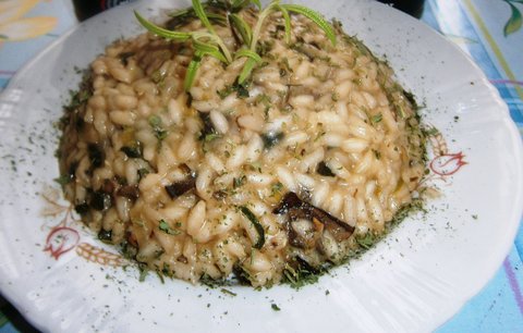FOTKA - Italsk rizoto s houbami