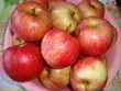 fotka Duen jablka
