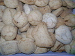 fotka Vybhlci
