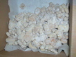 fotka Superrychl cukrov